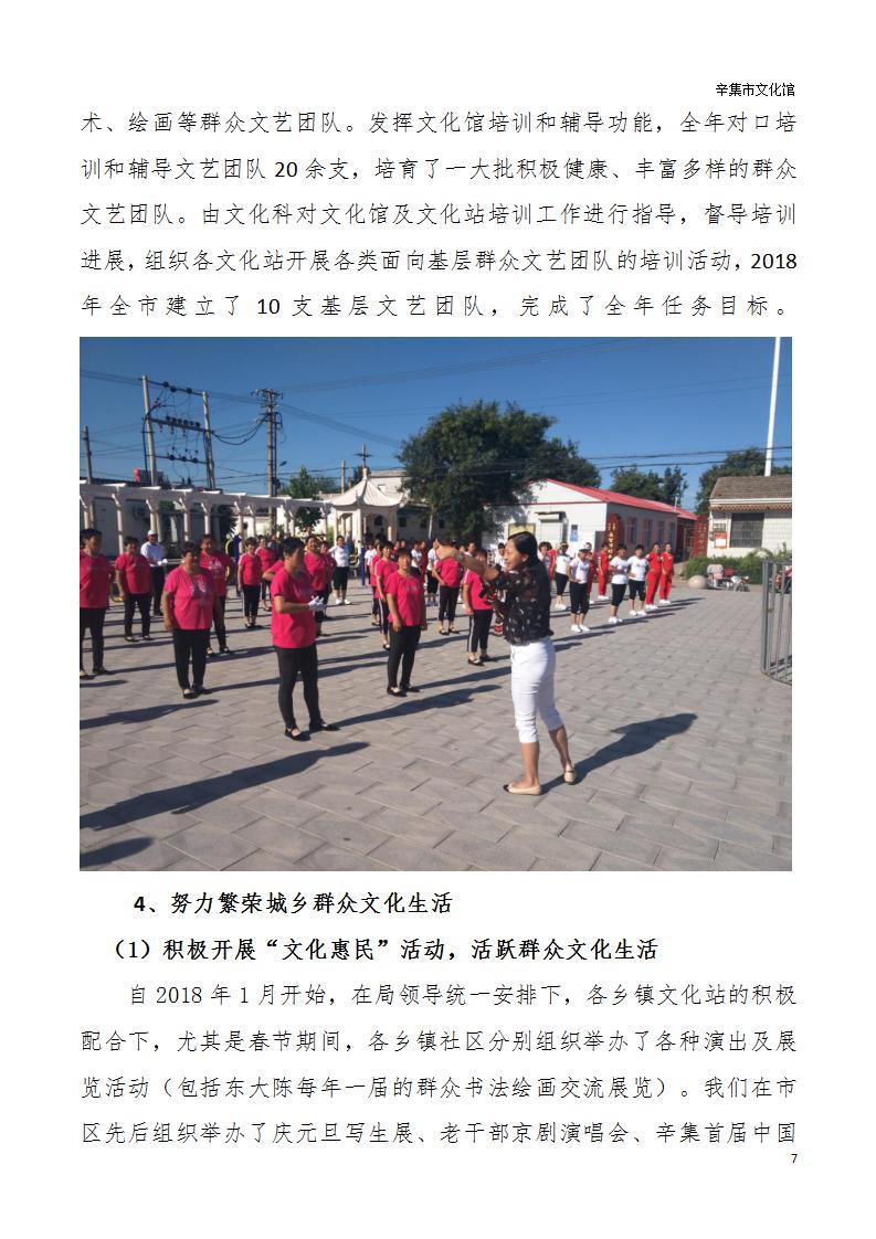 辛集市文化館2018年年度報告