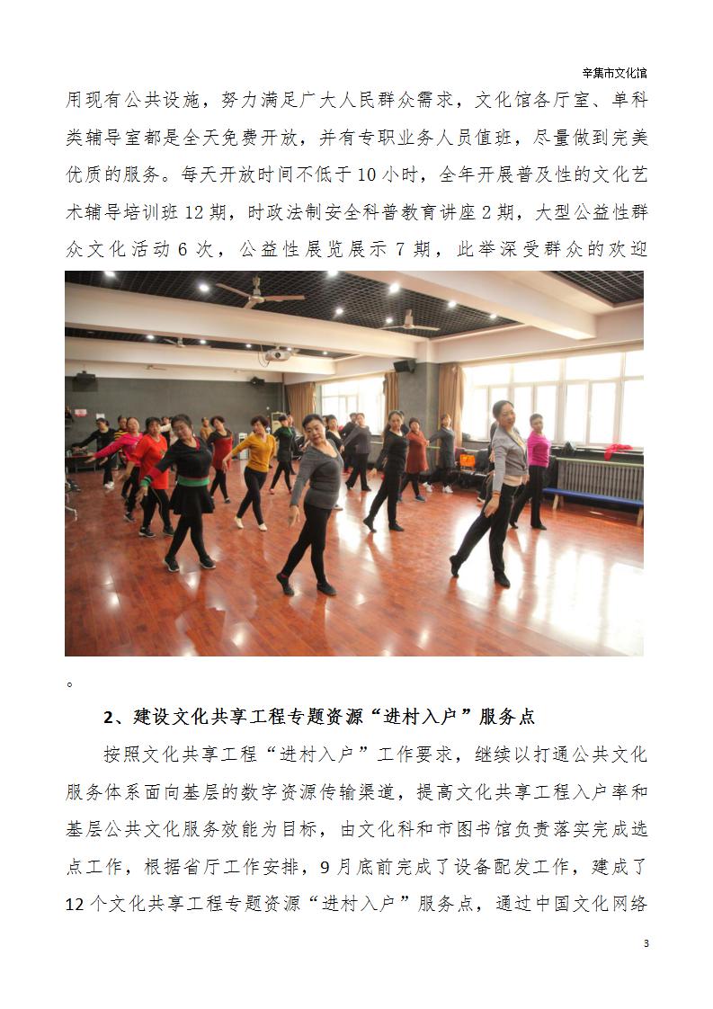 辛集市文化館2018年年度報告