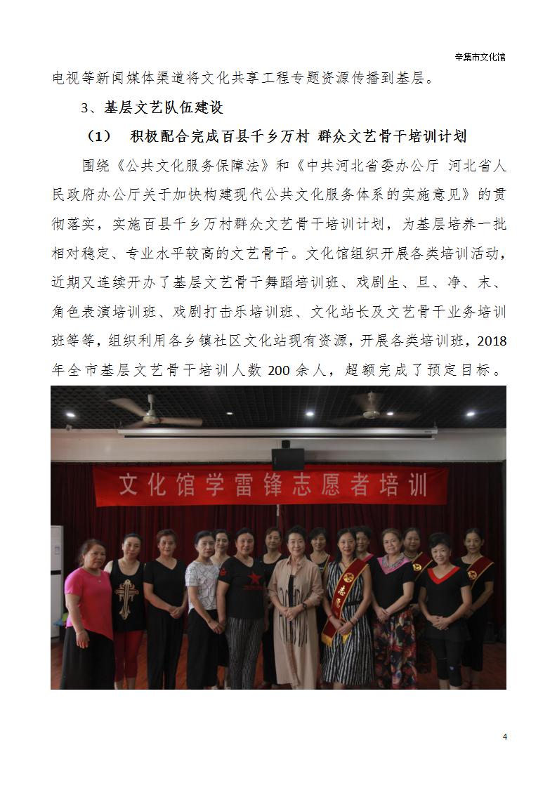 辛集市文化館2018年年度報告