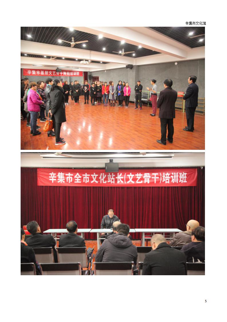 辛集市文化館2018年年度報告