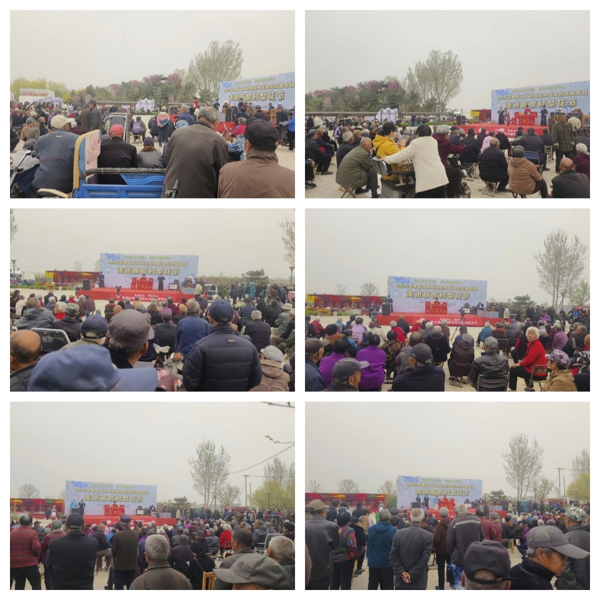 2025辛集市文化進(jìn)基層惠民演出戲曲專場(chǎng)走進(jìn)苗營(yíng)村梨花節(jié)