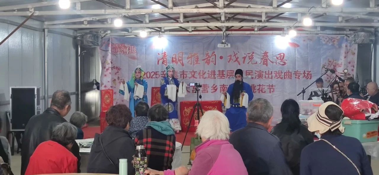 2025辛集市文化進基層惠民演出戲曲專場走進天宮營鄉(xiāng)南龐村桃花節(jié)